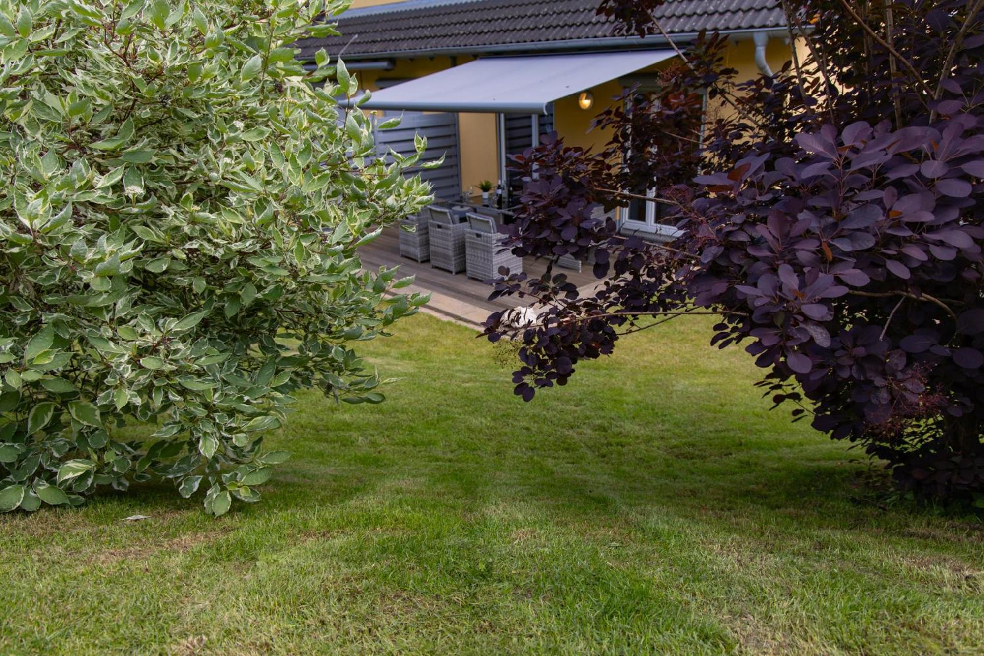 Ferienhaus Moselhoehe -Neu- Traben-Trarbach Ngoại thất bức ảnh